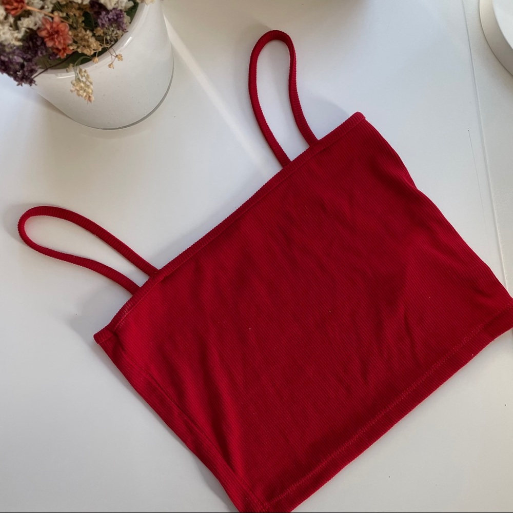 Brandy Crop Top